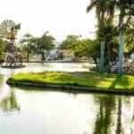 7-7-scaled-r54rnkb5caq5qsocfyd5iz299tj9ihjuerfvp22080